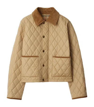 Burberry Cotton-corduroy-trimmed Quilted Shell Jacket In Brown