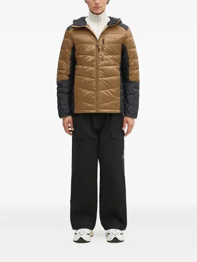 Columbia Labyrinth Looptm Ii Hooded Jacket In Multi