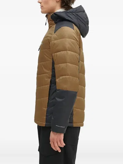 Columbia Labyrinth Looptm Ii Hooded Jacket In Multi