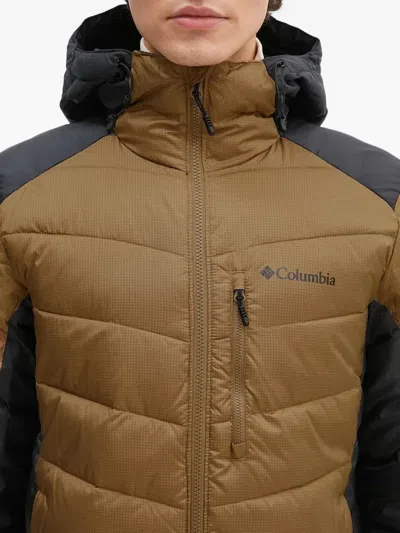 Columbia Labyrinth Looptm Ii Hooded Jacket In Multi