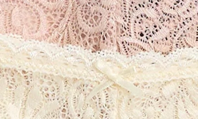 Honeydew Cat Assorted 5-pack Thongs