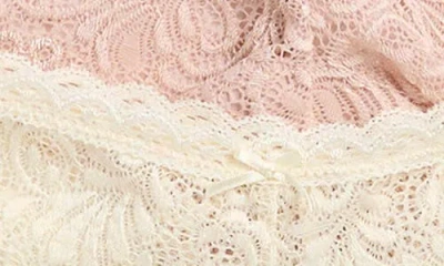 Honeydew Cat Assorted 5-pack Hipster Briefs In Multi