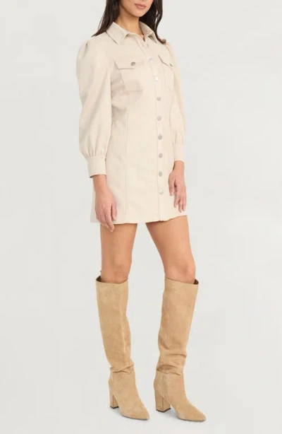 The Good Journey Button Front Shirt Dress In Brown