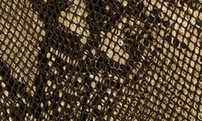 Azalea Wang Couture Crazy Pointy Toe Knee High Boot In Brown