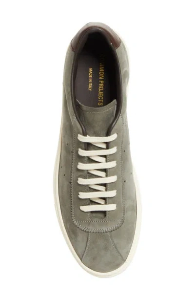 Common Projects Perforated Suede Sneakers In Gray