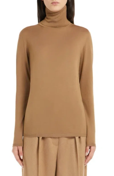 Max Mara Saluto Virgin Wool Turtleneck Sweater In Brown