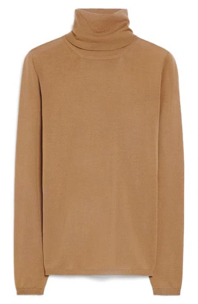 Max Mara Saluto Virgin Wool Turtleneck Sweater In Brown