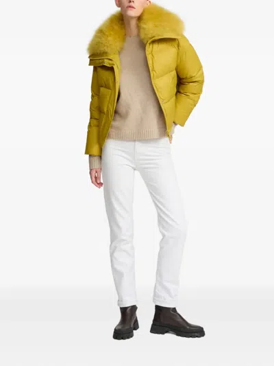 Yves Salomon Fur Insert Down Jacket Puffer Jackets Yellow In Yellow