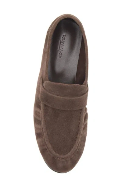 Tony Bianco Gatsby Loafers Espresso Suede In Brown