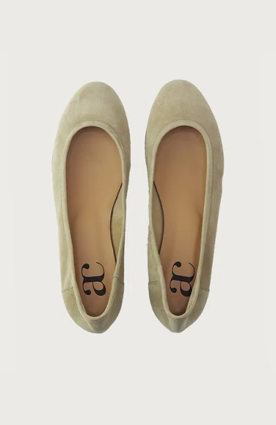 Andrea Carrano Bambolina Ballet Flat In Brown