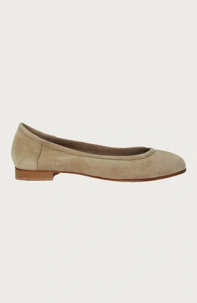 Andrea Carrano Bambolina Ballet Flat In Brown
