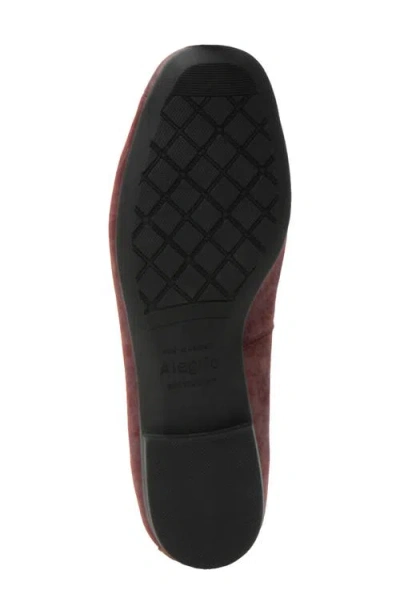 Alegria By Pg Lite Talya Cap Toe Ballet Flat In Multi