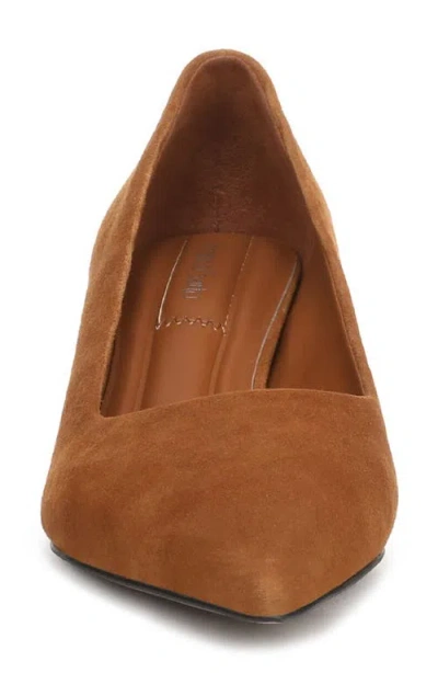 Franco Sarto Women's Racer Pointed Toe Block Heel Pumps In Brown