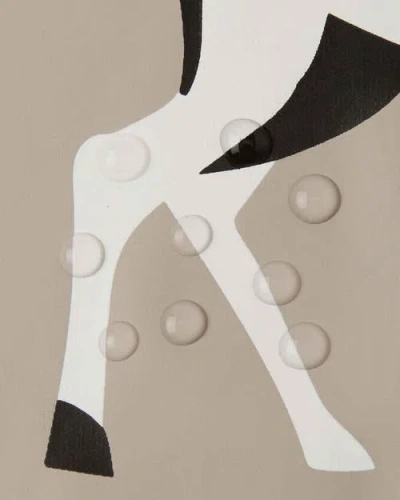 Reima Vesi Raincoat In Gray