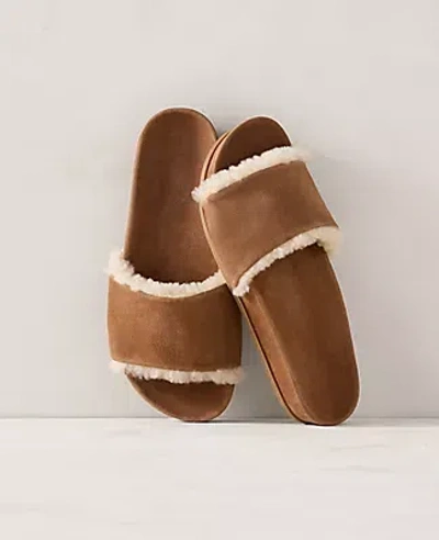 Ann Taylor Haven Well Within Suede And Sherpa Molded Slide In Sand