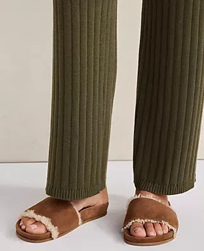 Ann Taylor Haven Well Within Suede And Sherpa Molded Slide In Sand