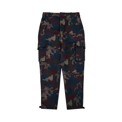 Pre-owned Dior X Peter Doig Camouflage Cargo Pants 'multicolor' | Multi-color | Men's Size 50