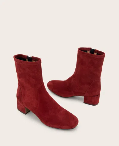 Gentle Souls - Ella Micro Suede Stretch Bootie In Burgundy