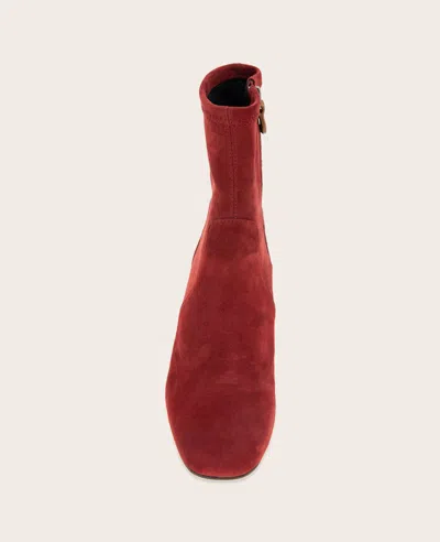 Gentle Souls - Ella Micro Suede Stretch Bootie In Burgundy