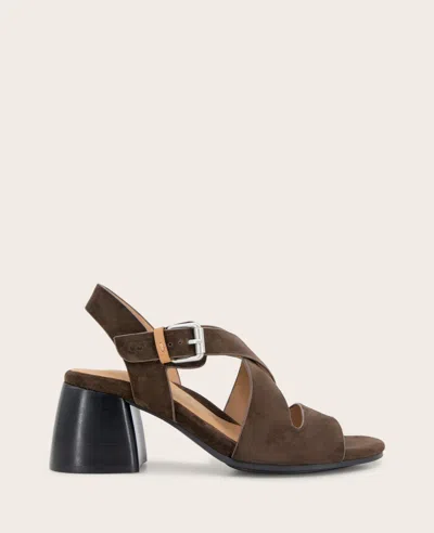 Gentle Souls Mela Crisscross Sandal In Brown