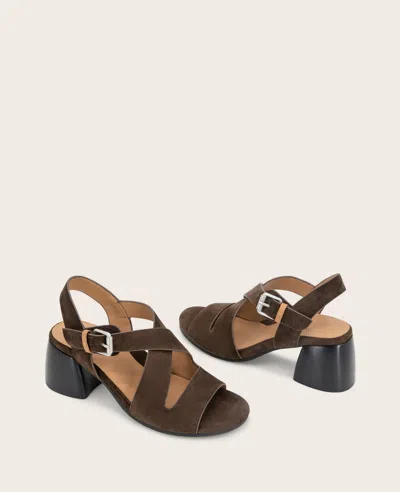 Gentle Souls Mela Crisscross Sandal In Brown