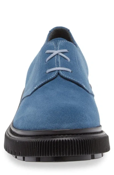 Adieu Plain Toe Derby In Multi