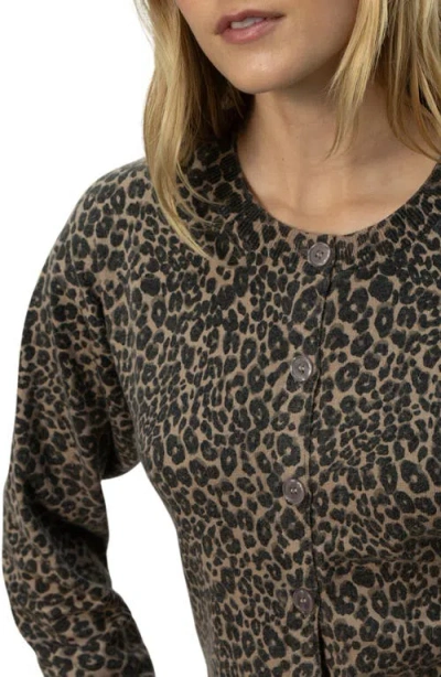 Sanctuary Must Have Cardigan In French Kitty In Brown