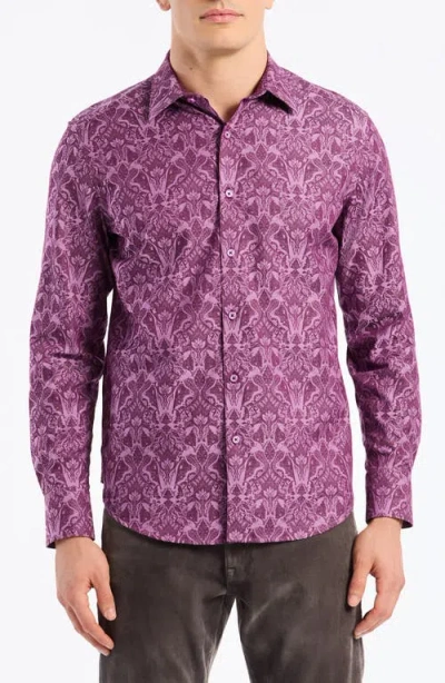 Robert Graham Highland Stretch Cotton Button-up Shirt In Purple