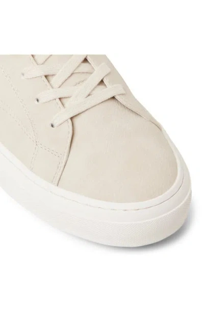 Call It Spring By Aldo Taser Sneaker In Multi