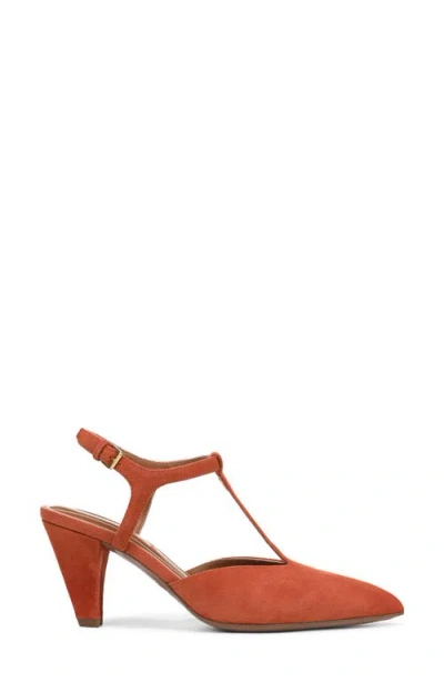 Franco Sarto Women's Ovett Pointed Toe Strappy Shoes In Brown