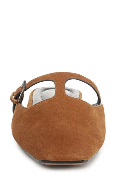 Sarto By Franco Sarto Dorthea T-strap Mule In Brown