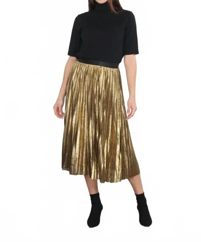 Zero Degree Celsius Pleated Skirt In Antique Gold In Multi