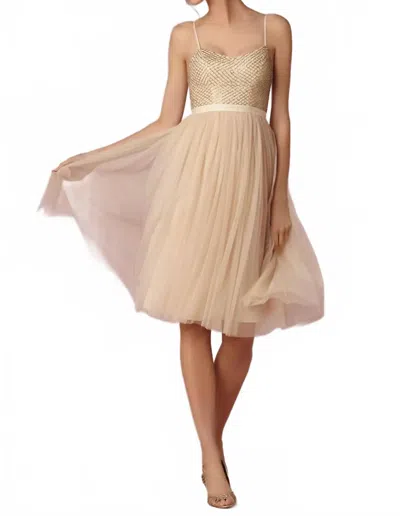 Needle & Thread Coppelia Dress In Cream In Neutral