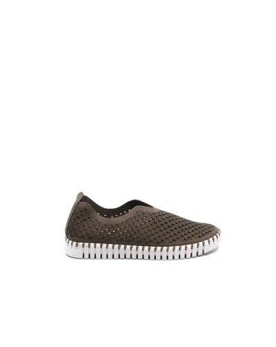 Ilse Jacobsen Women's Flats Falcon Shoe In Brown In Multi