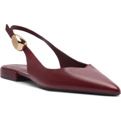 Arezzo Women's Farrah Slingback Ballet Flats In Burgundy