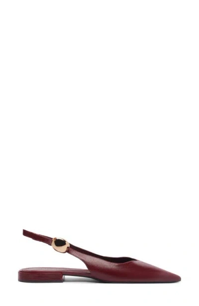Arezzo Women's Farrah Slingback Ballet Flats In Burgundy