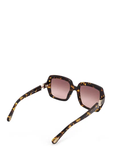 Chloé Acetate Sunglasses