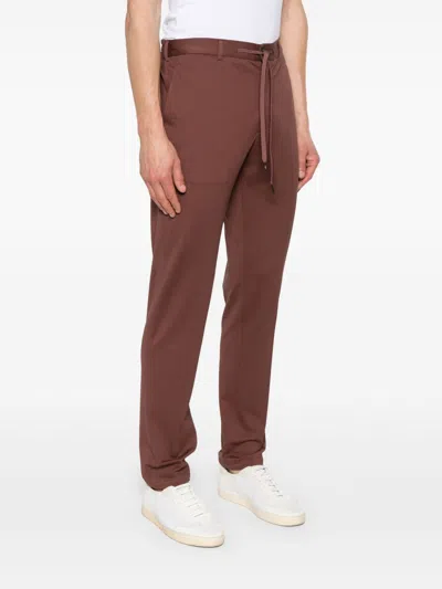 Circolo 1901 Trousers Cotton Belt Loops In Brown