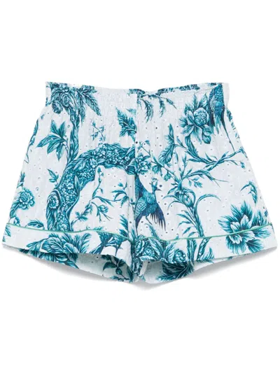 F.r.s . Printed Cotton Shorts In Blue
