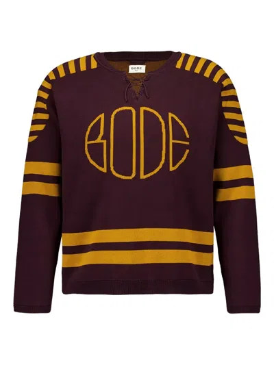 Bode Striped Lace-up Sweater In Brown