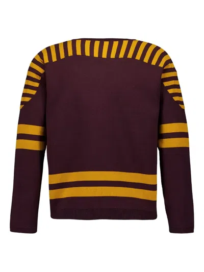 Bode Striped Lace-up Sweater In Brown