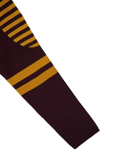 Bode Striped Lace-up Sweater In Brown