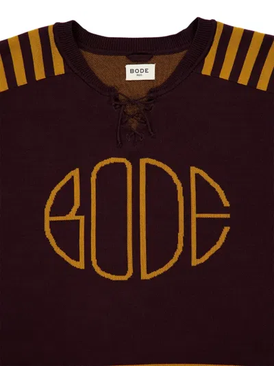 Bode Striped Lace-up Sweater In Brown