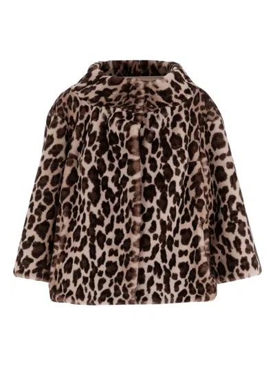 Uncommon Leopard-print Wide-collar Coat In Brown
