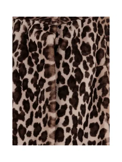 Uncommon Leopard-print Wide-collar Coat In Brown