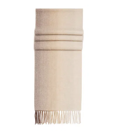 Colombo Cashmere Scarf In Brown