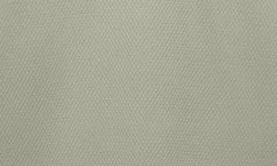 Asrv Aerosilver® Established Tee In Green