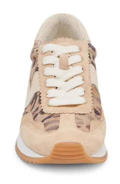 Dolce Vita B.ntcd Sneaker In Brown
