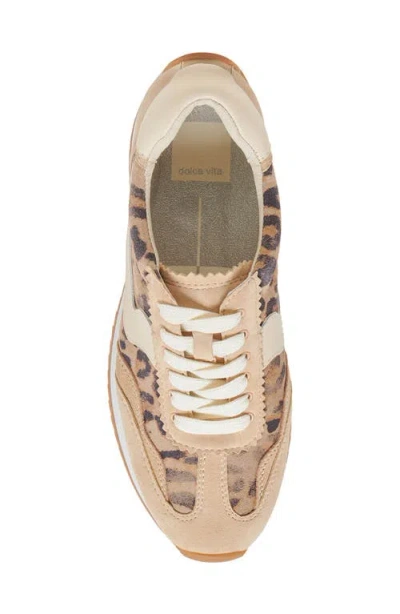 Dolce Vita B.ntcd Sneaker In Brown