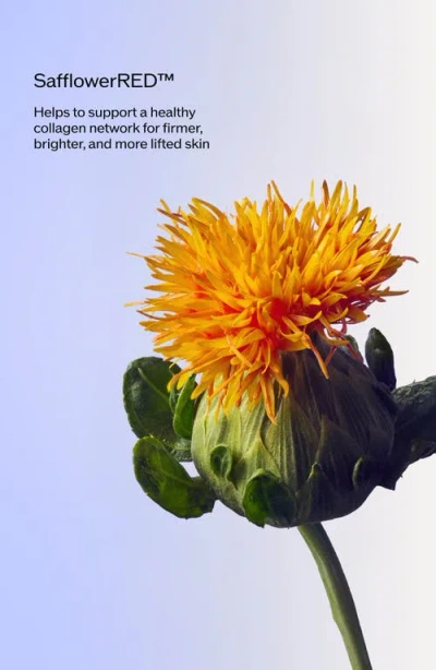 Shiseido Vital Perfection Uplifting And Firming Advanced Cream In Multi